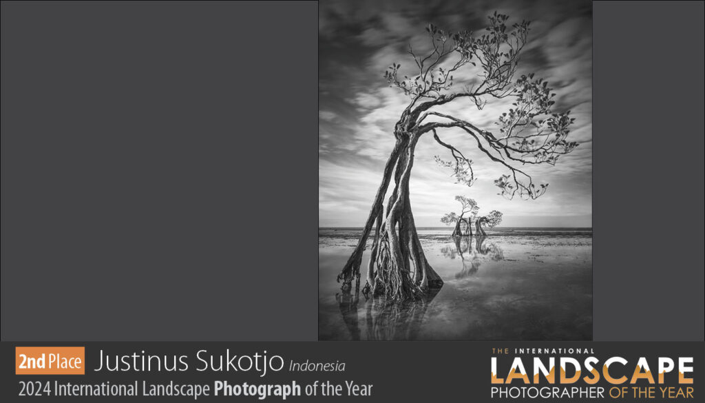 Las fotografías ganadoras del international landscape photographer of the year