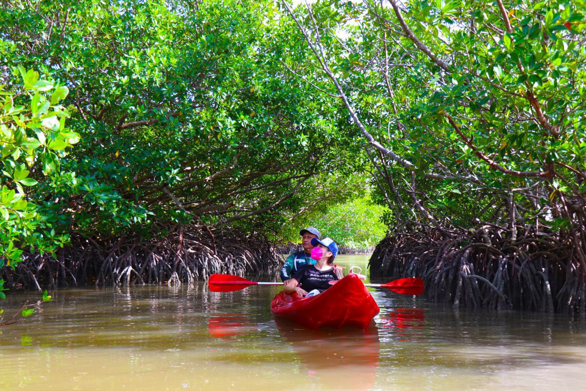 Los 11 nuevos pueblos mágicos para descubrir en su próximo viaje a méxico Isla aguadas