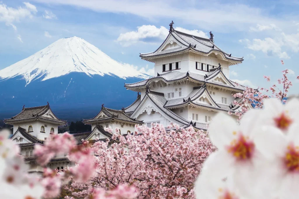 Hábitos y secretos japoneses para tener una vida más larga y saludable Hábitos y secretos japoneses para tener una vida más larga y saludable
