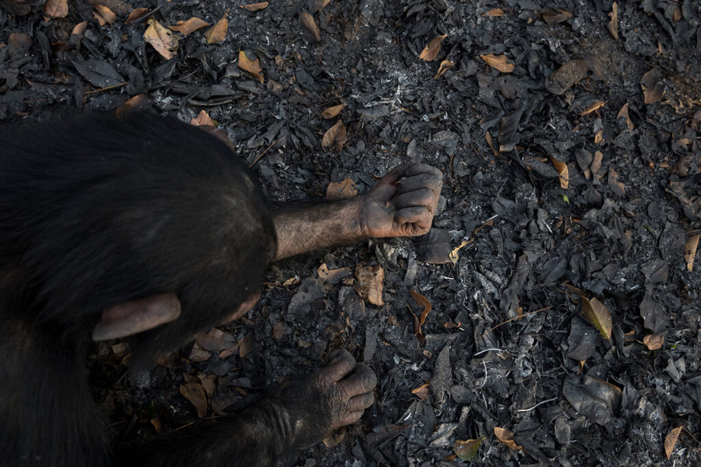 Fotografía life framer