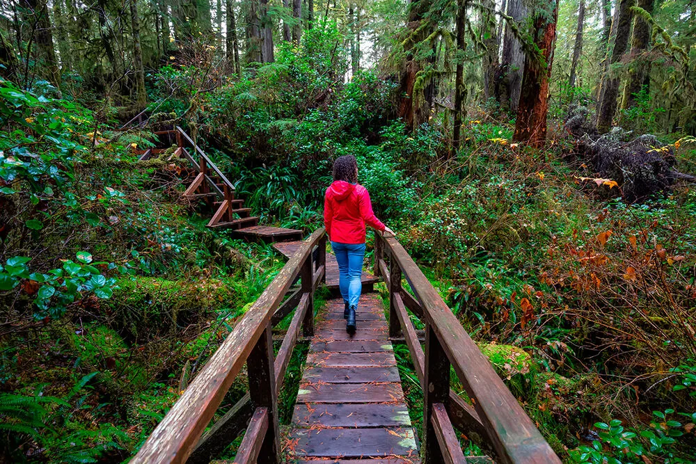 Los mejores cinco destinos de luna de miel