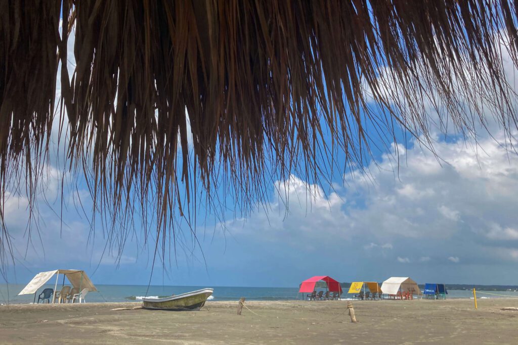 Entre manglares, un viaje a la cartagena macondiana Playa la boquilla, manglares