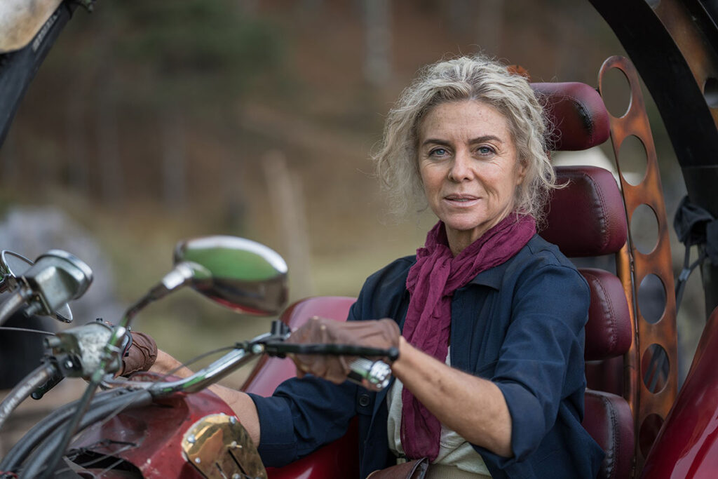 Margarita rosa de francisco