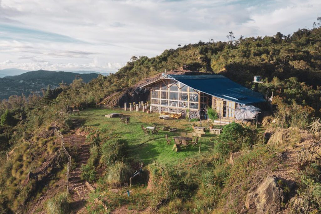 Así es un baño de bosque, la tendencia de bienestar que llegó a bogotá Baños de bosque metanoia