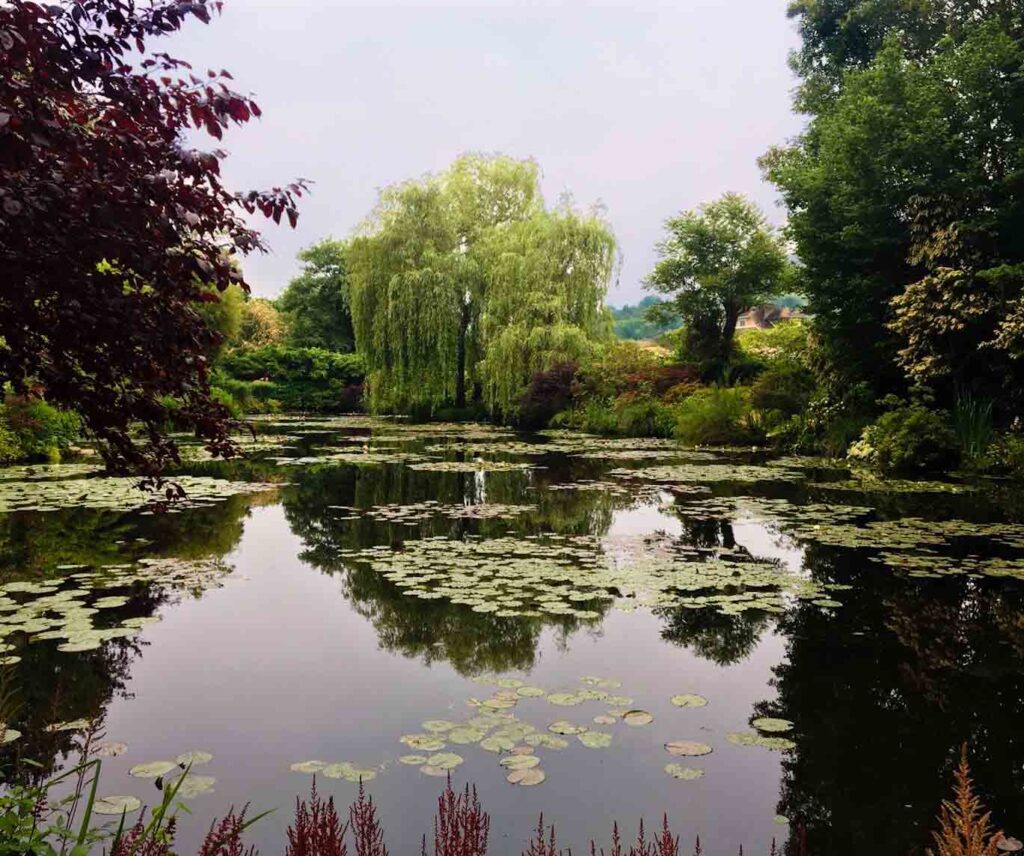 "el sufrimiento que le causó pintar debilitó su espíritu": documental sobre claude monet "el sufrimiento que le causó pintar debilitó su espíritu": documental sobre claude monet