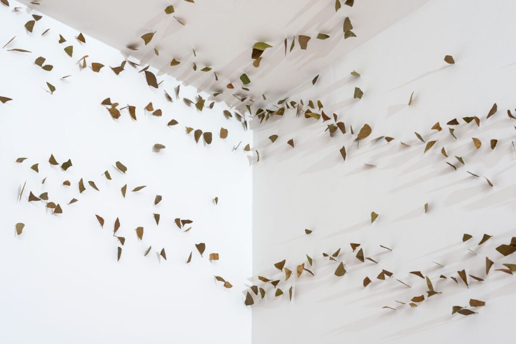 Paraísos y jardines museo del oro