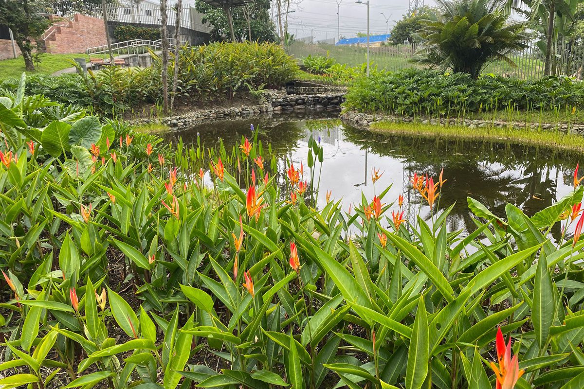 Jardín arqueobotanico museo del oro