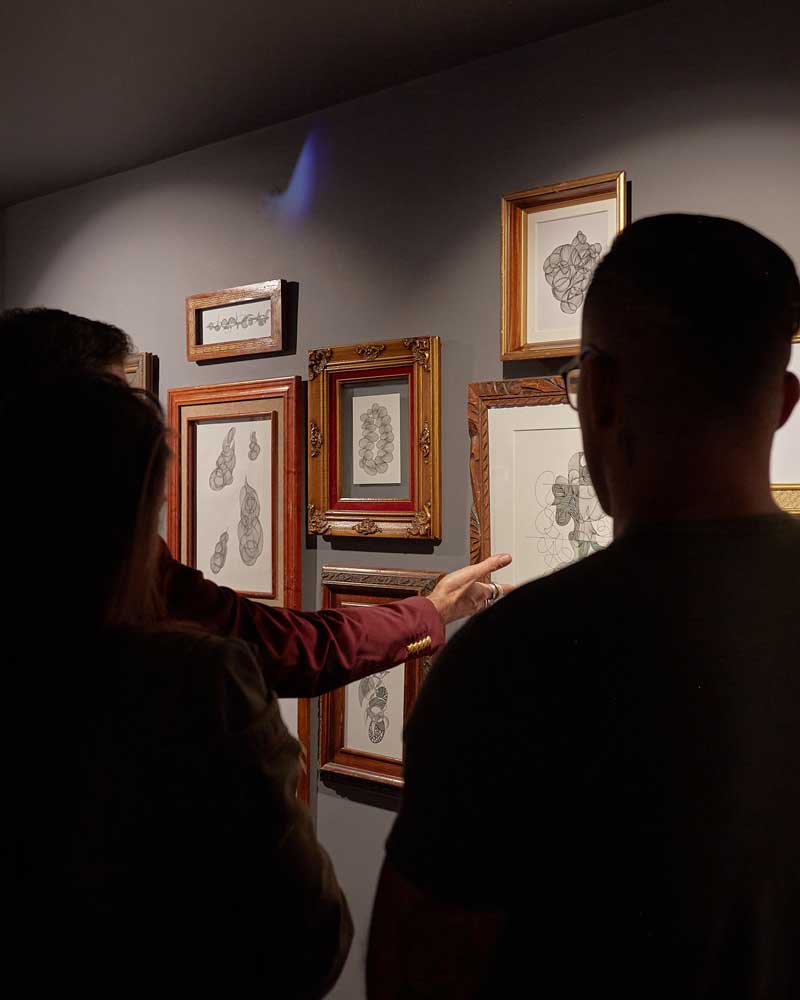 Roberto Manrique dibujos