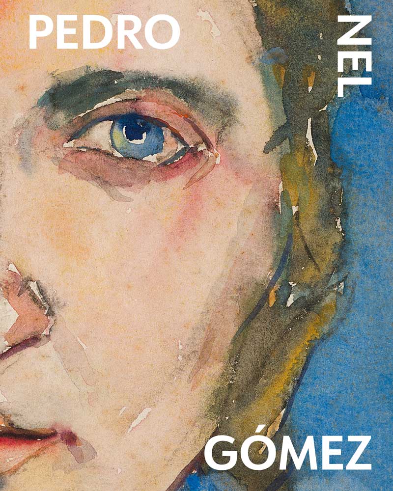 Libro Pedro Nel Gómez Davivienda