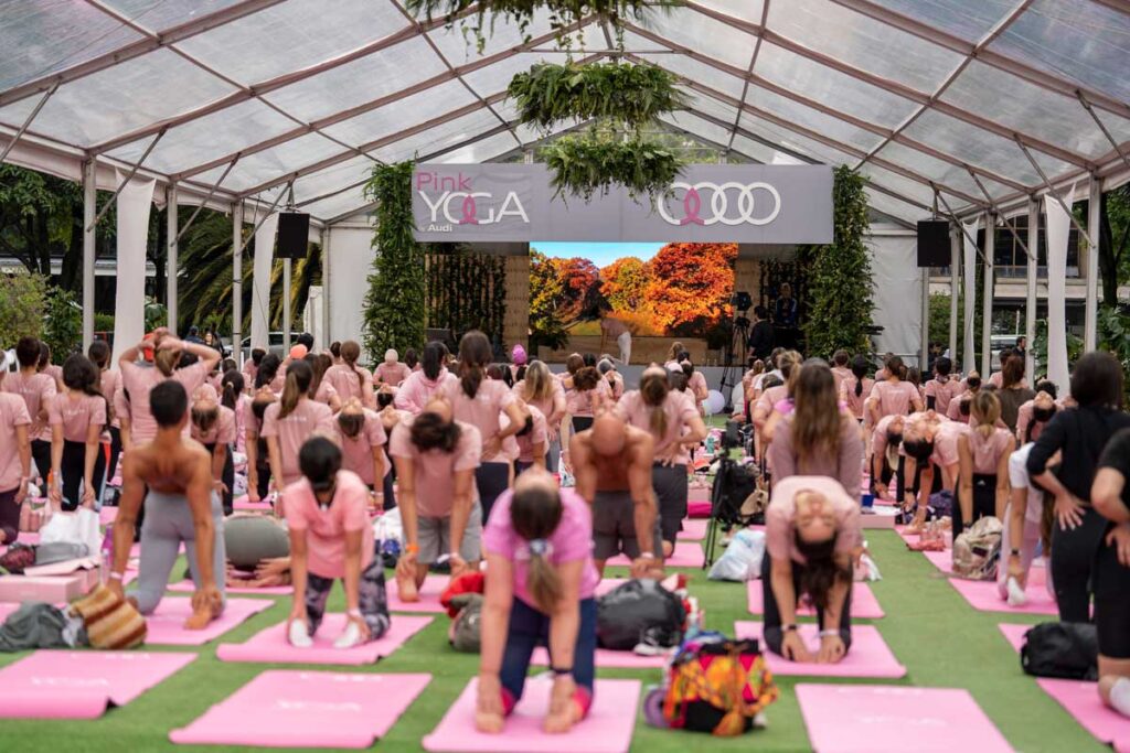 Pink yoga audi colombia