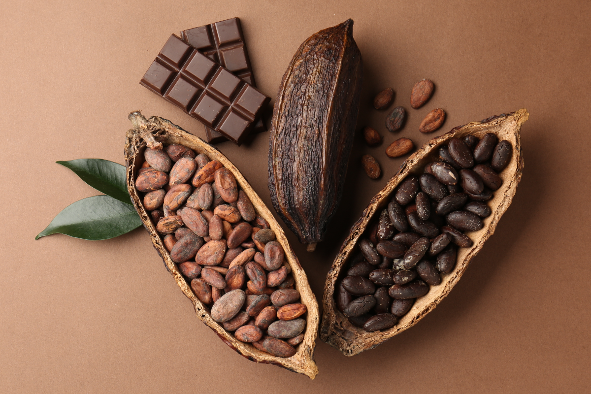 De Francia al Quindío: el camino hacia el mejor chocolate del mundo