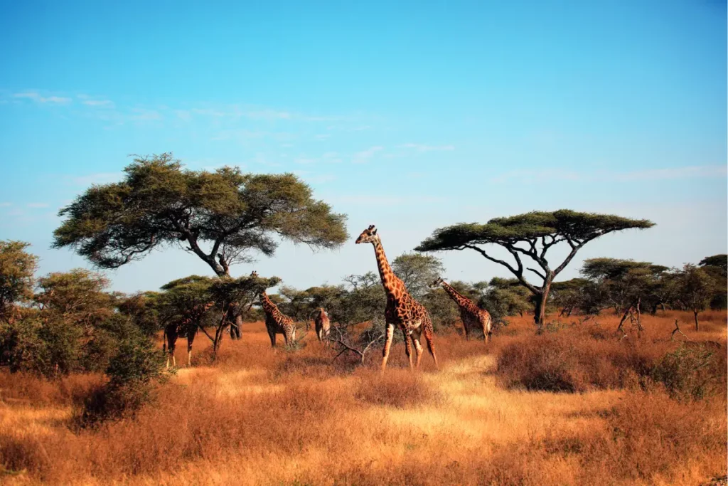 Mujeres viajeras: cuatro lugares para recorrer el mundo con libertad y confianza
