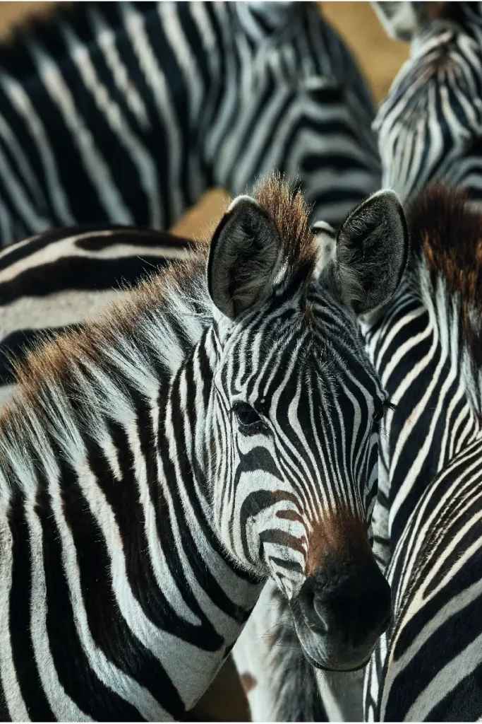 Mujeres viajeras: cuatro lugares para recorrer el mundo con libertad y confianza