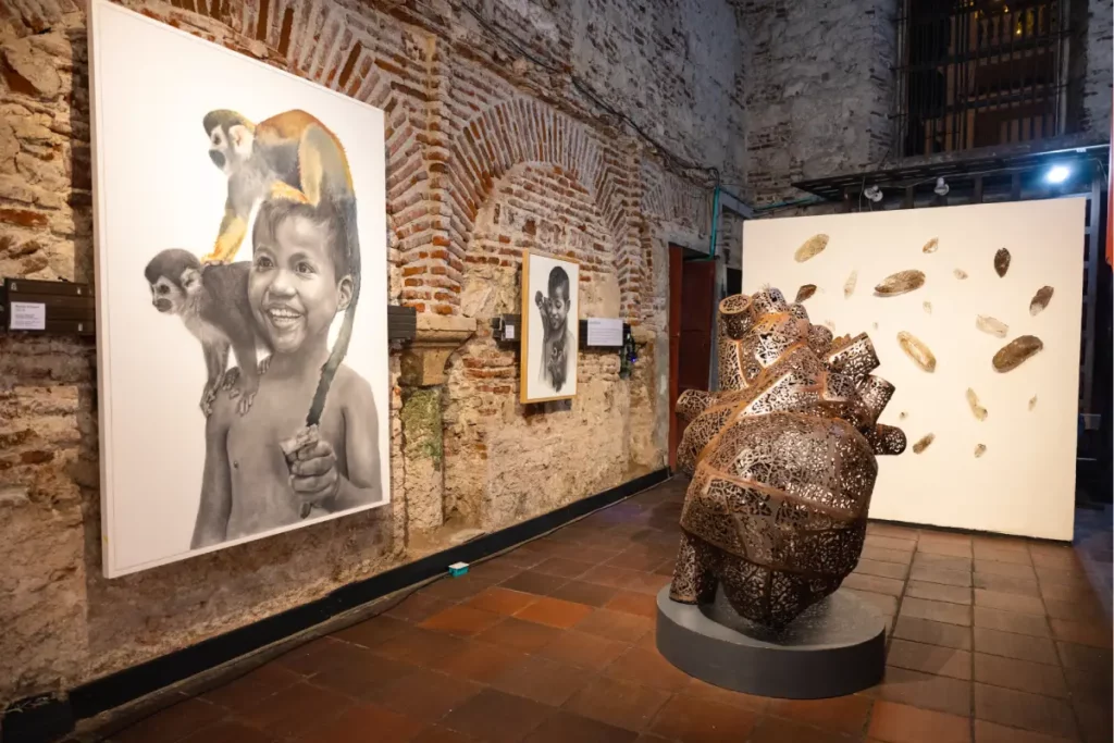 Esporas: la nueva exposición de la artista manuela echeverri en cartagena Esporas: la nueva exposición de la artista manuela echeverri en cartagena