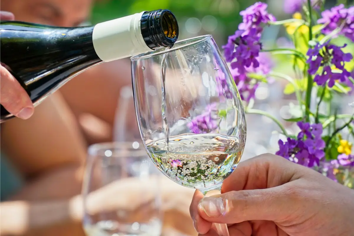 Conozca el ranking de los países que más beben vino en el mundo