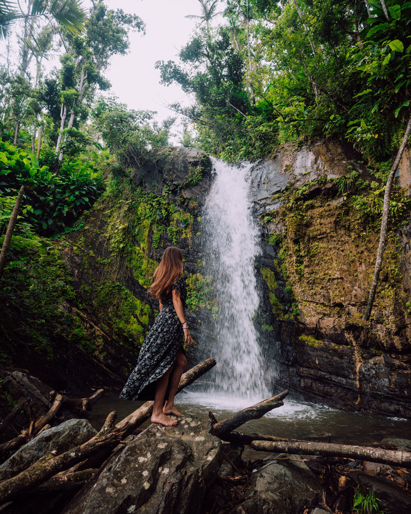 Puerto Rico Bosque Nacional El Yunque