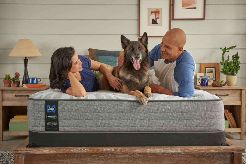 Sealy colchones el dorado