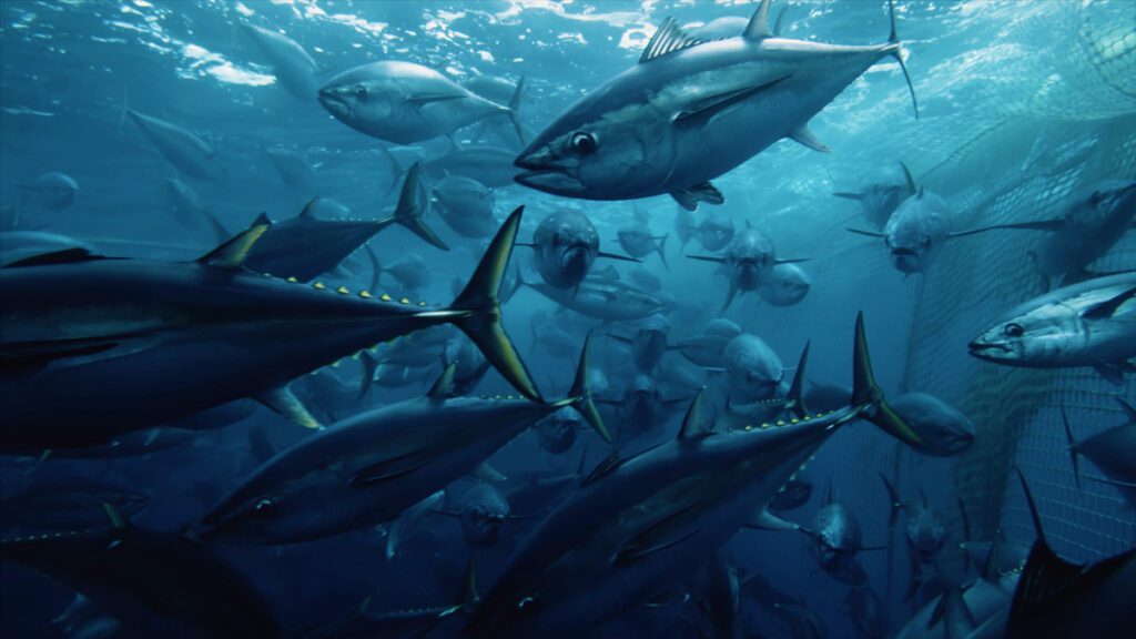 Cinco documentales imperdibles de netflix Seaspiracy documentales