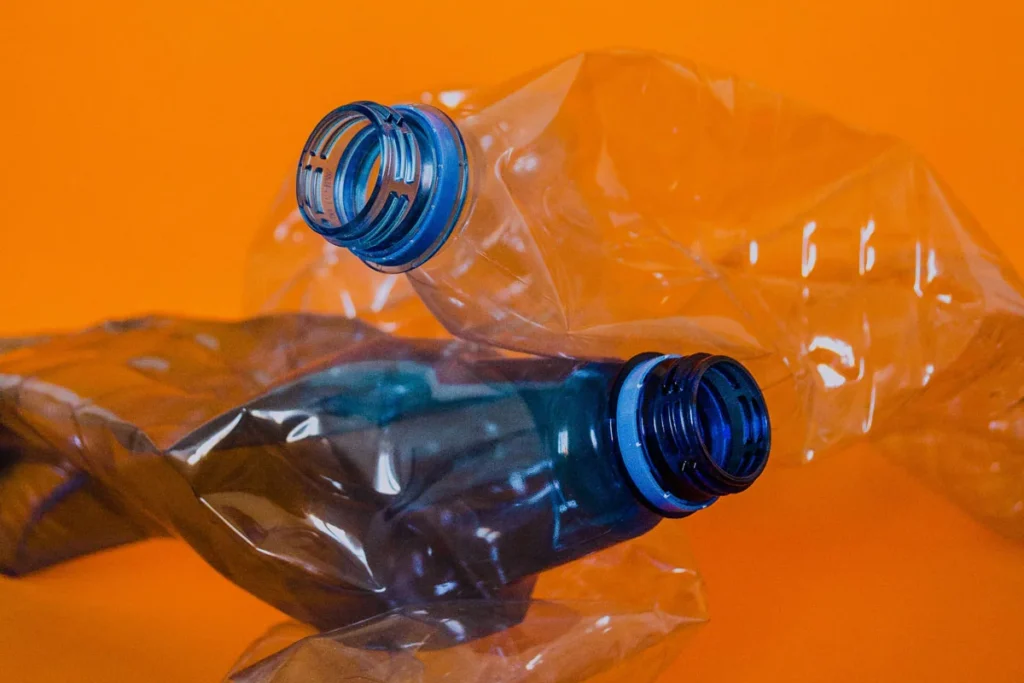 Social skin: jóvenes emprendedores crean proyectos amigables con el medio ambiente