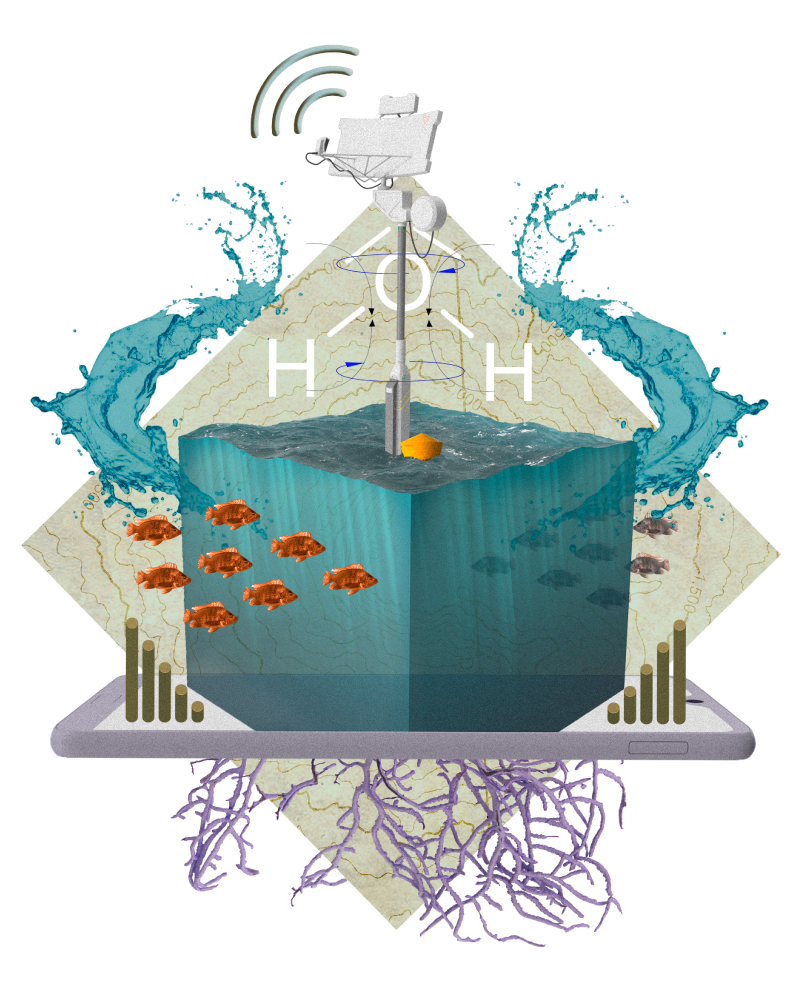 Social Skin Pro-viden