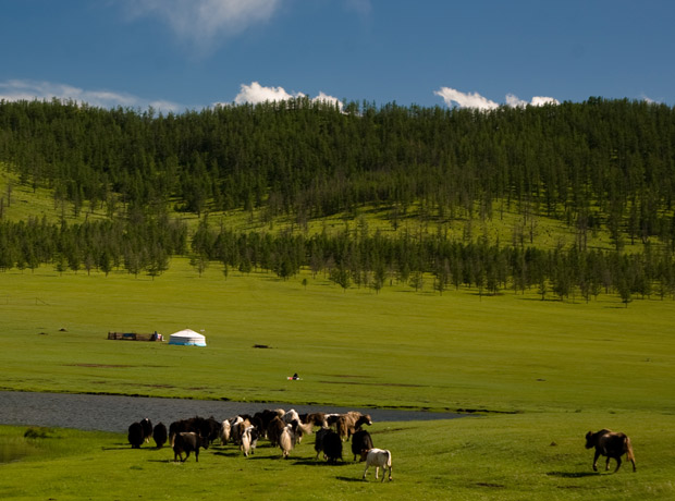 tsenkher_hot_spring_mongolia
