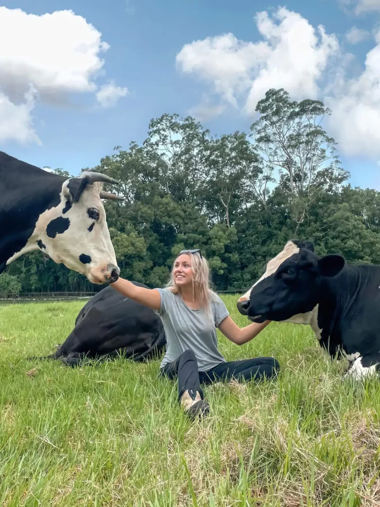 10 experiencias inolvidables de airbnb para reservar por todo el mundo Sidney, australia