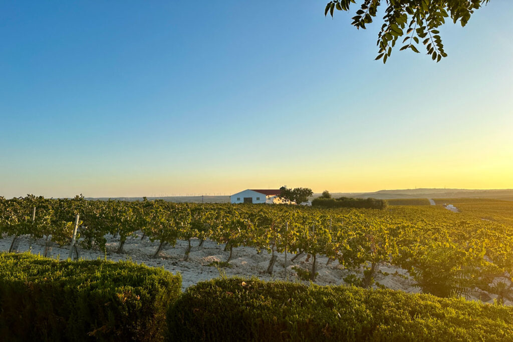 Conozca jerez de la frontera, un destino inolvidable en españa Bristol jerez