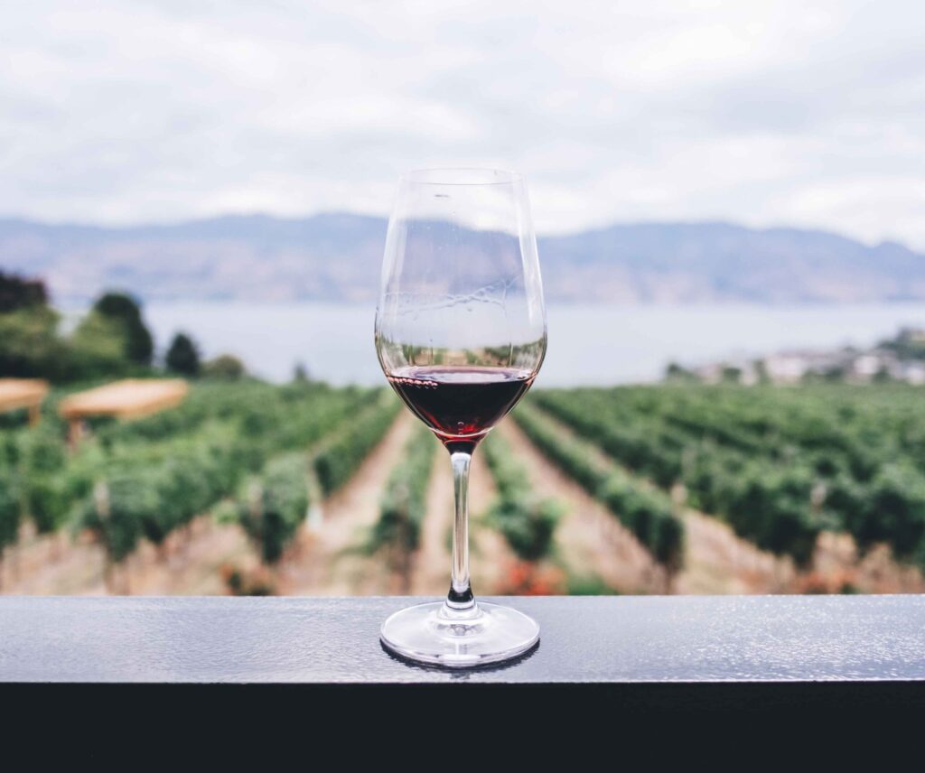 Cuatro lugares para aprender sobre vino en bogotá