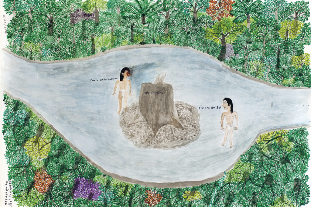 Abel rodríguez: el nombrador de plantas