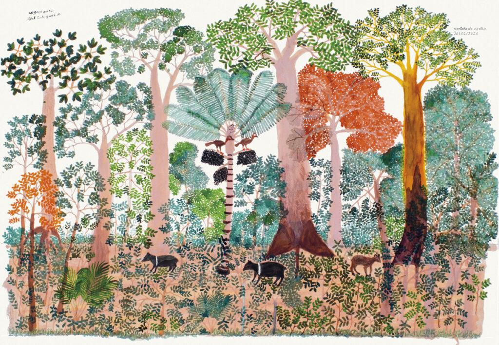 Abel rodríguez: el nombrador de plantas