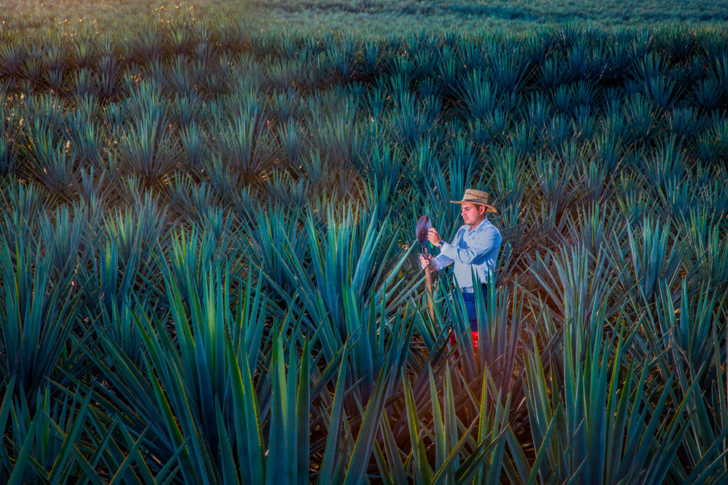 Esta es la guadalajara que todos los colombianos quieren conocer Guadalajara