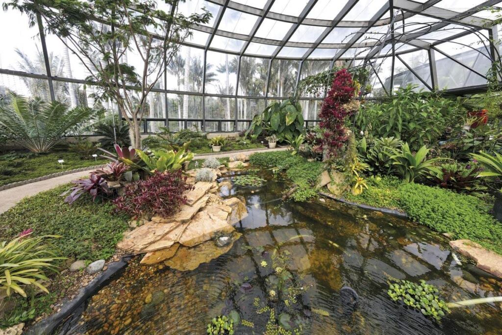 El tropicario más grande de sudamérica está en bogotá