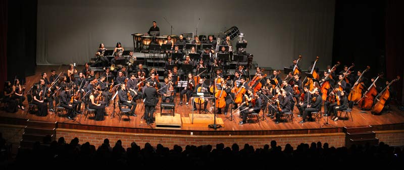 Medellín y los músicos del mundo Alejandroposada2_800x337