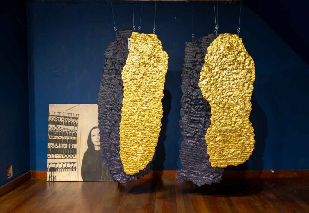 Obra de la artista olga de amaral