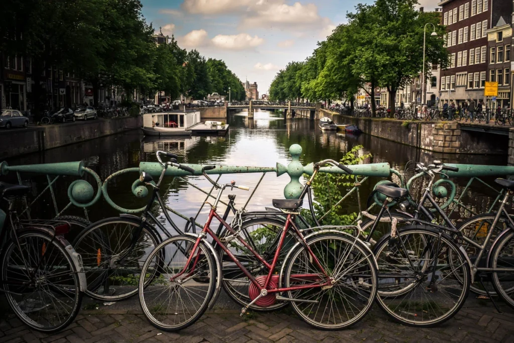 Un viaje en bicicleta entre los tulipanes de holanda Amsterdam enmarcada.