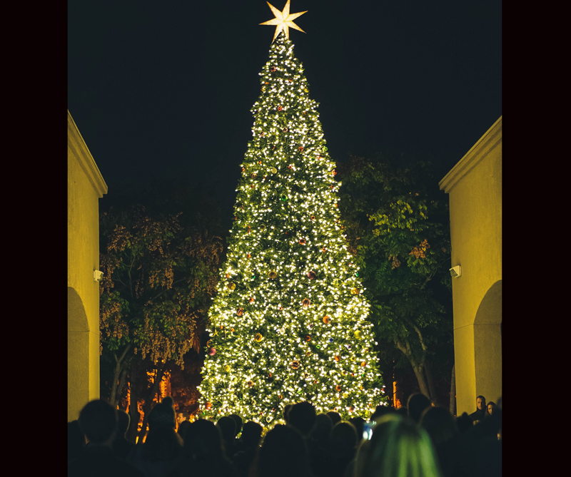 ¿cuál personaje de girls es usted?