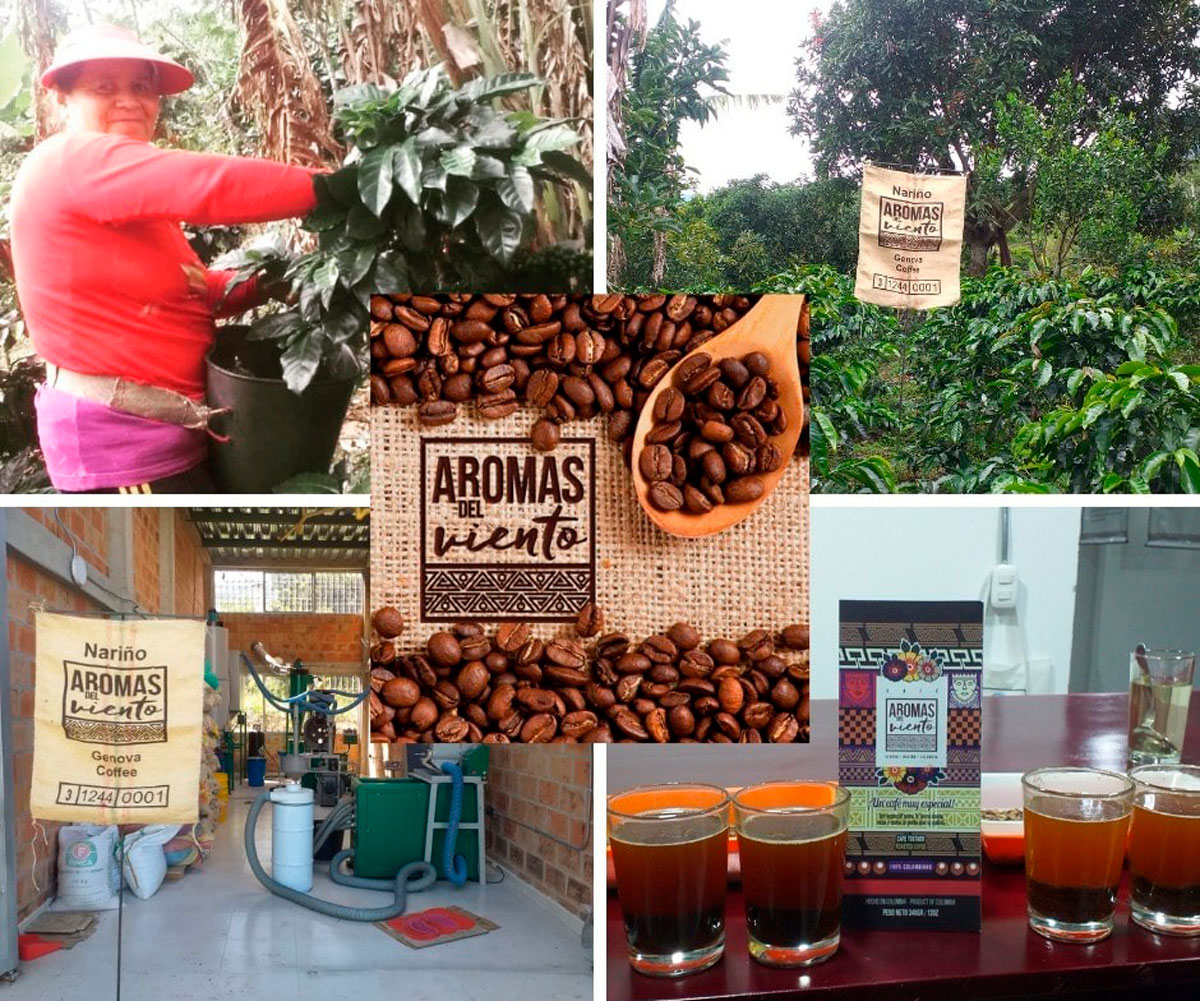 Aromas del viento, el café de especialidad que enorgullece a nariño Café colombiano