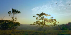 Un documental de discovery muestra los caminos ocultos del caquetá