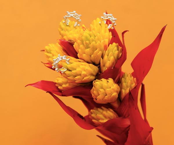 Aysha bilgrami, la joyera colombiana que une culturas