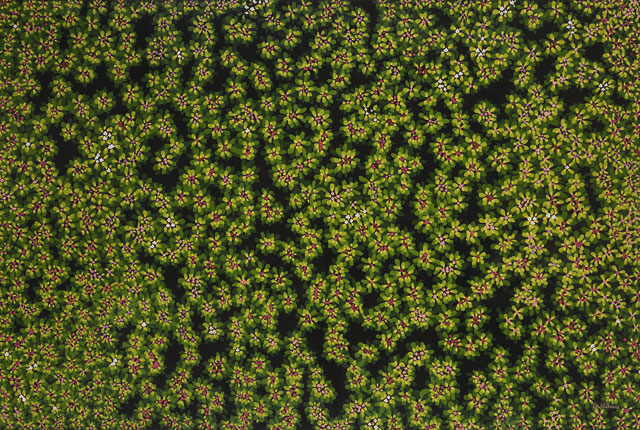 La poesía visual de ethel gilmour