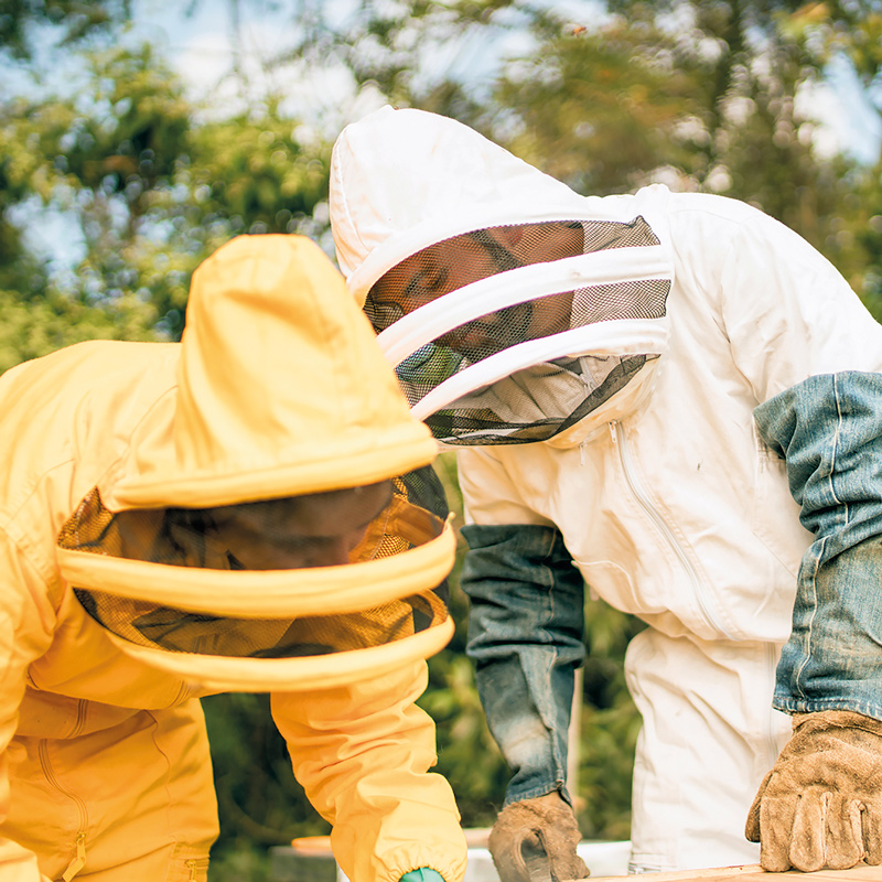 4 productores que le apuestan a la miel especial en colombia