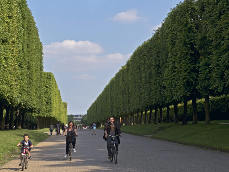 Recorra florencia, barcelona y parís en bicicleta Recorra florencia, barcelona y parís en bicicleta