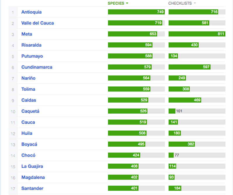 Seis lugares para hacer avistamiento de aves en colombia