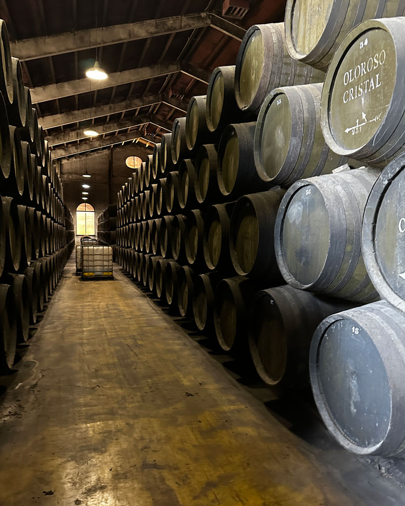 Conozca jerez de la frontera, un destino inolvidable en españa Criaderas y soleras