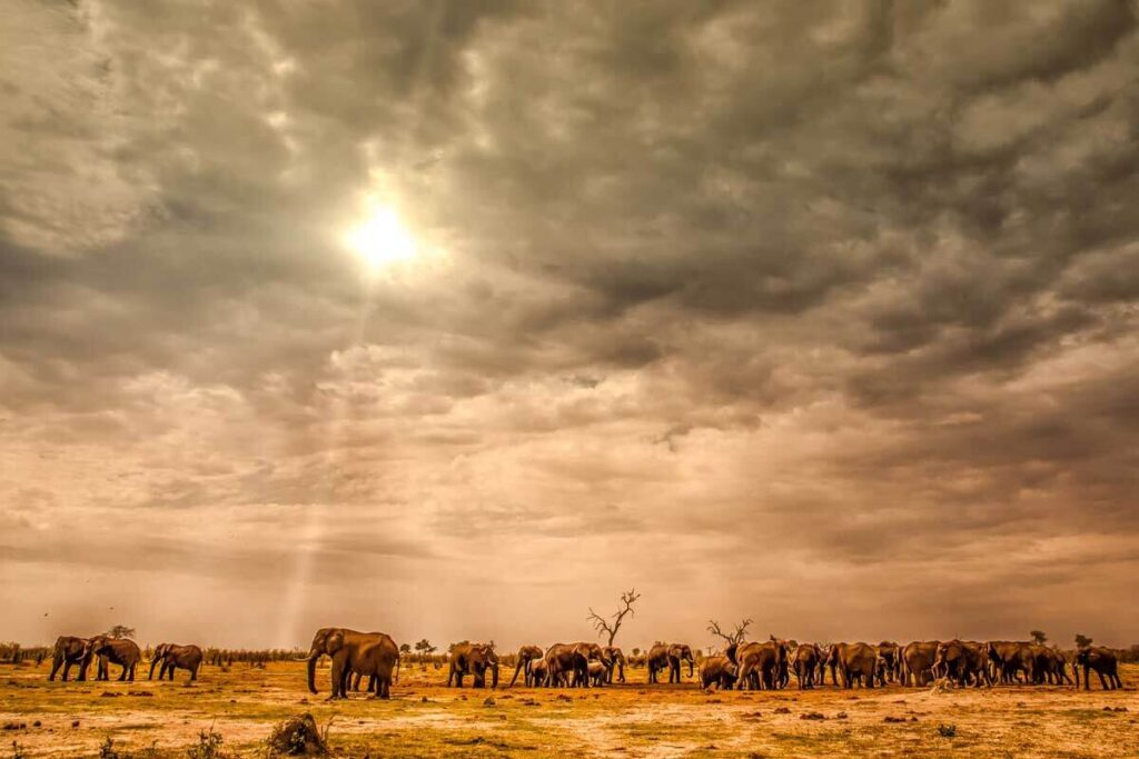 Colombia: ¿el lugar más amigable del mundo?