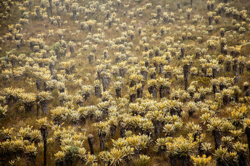 Boyacá: un departamento lleno de historia y lugares por conocer