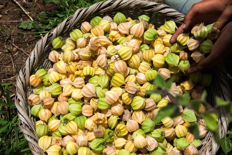 Boyacá: un departamento lleno de historia y lugares por conocer