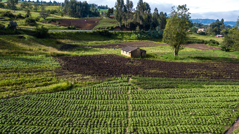 Boyacá: un departamento lleno de historia y lugares por conocer