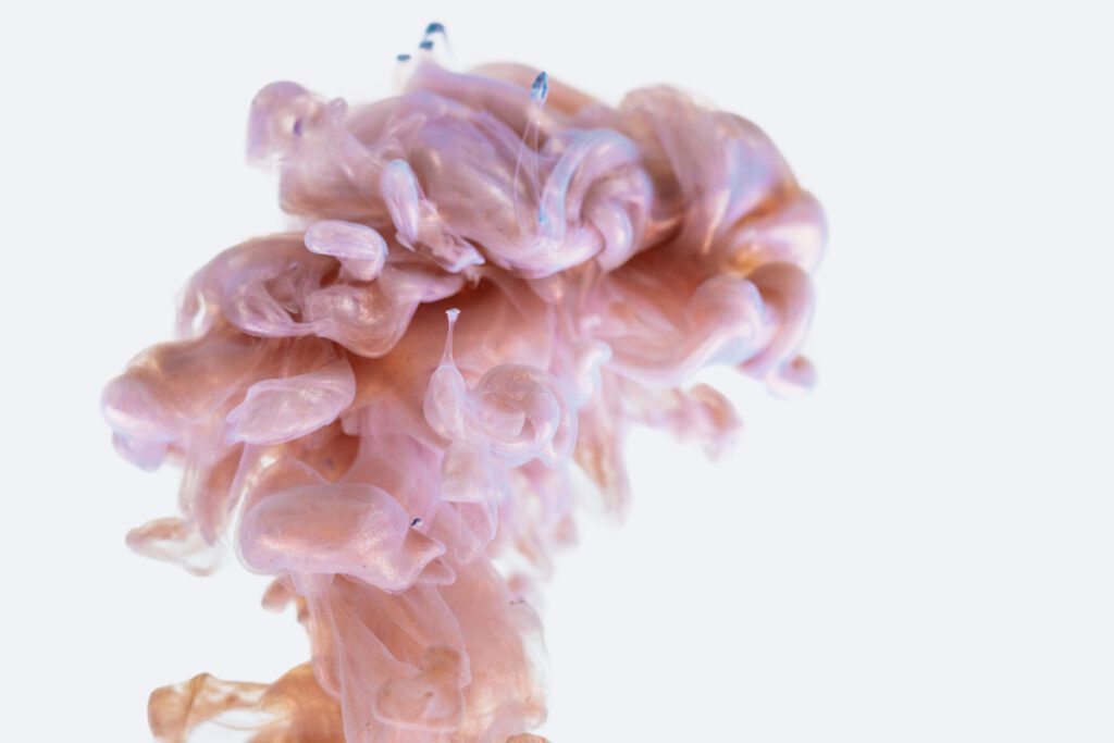 Cerebro durante la muerte