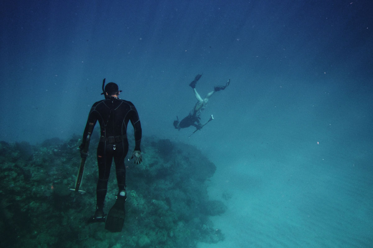 Bucear en colombia, buceo malpelo